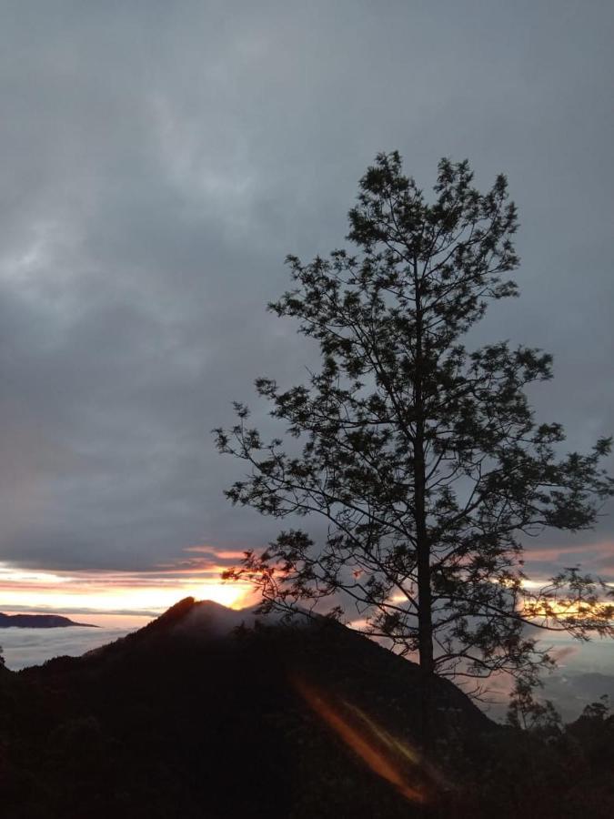 Forest Cyniciam Homestay 오히야 외부 사진