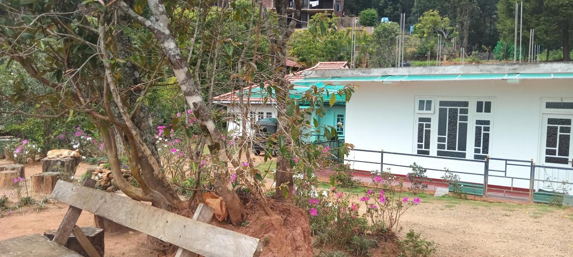 Forest Cyniciam Homestay 오히야 외부 사진