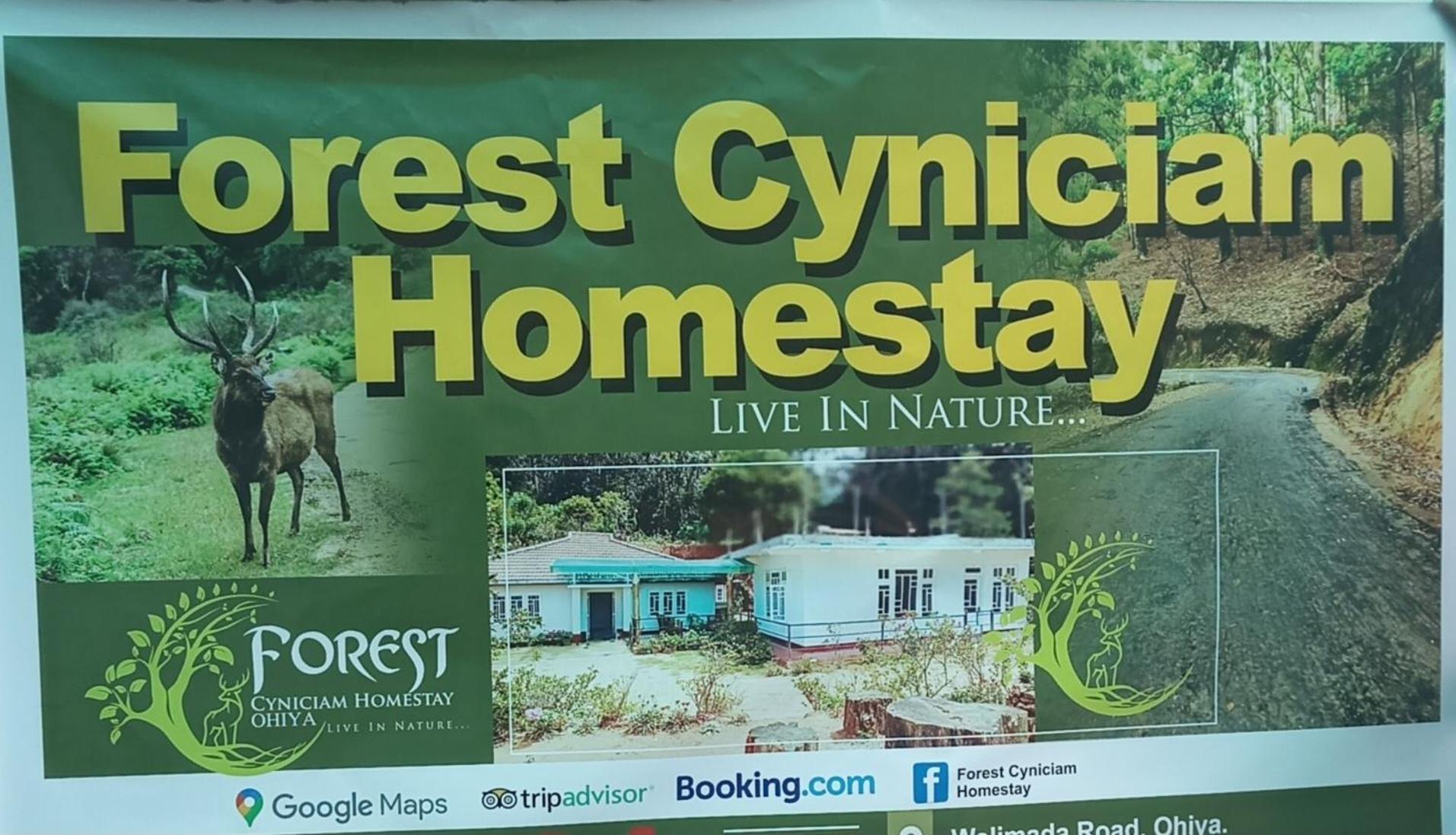 Forest Cyniciam Homestay 오히야 외부 사진