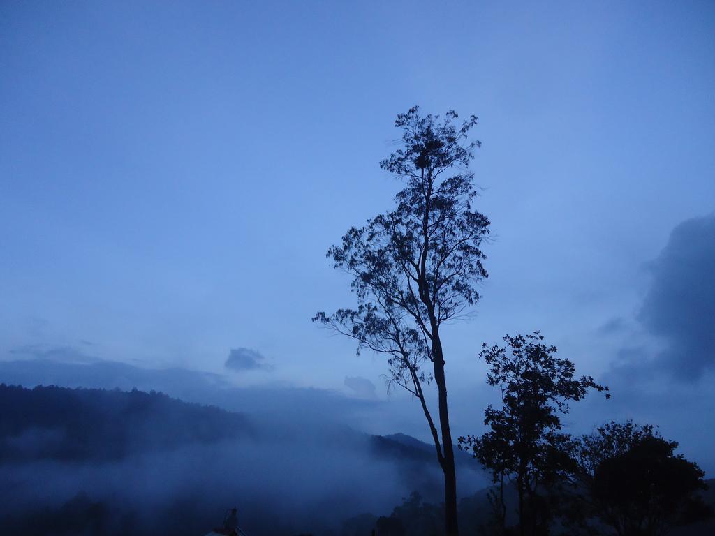 Forest Cyniciam Homestay 오히야 외부 사진