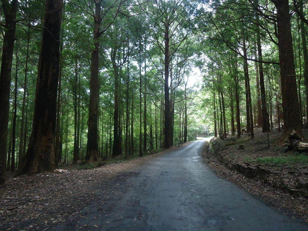 Forest Cyniciam Homestay 오히야 외부 사진