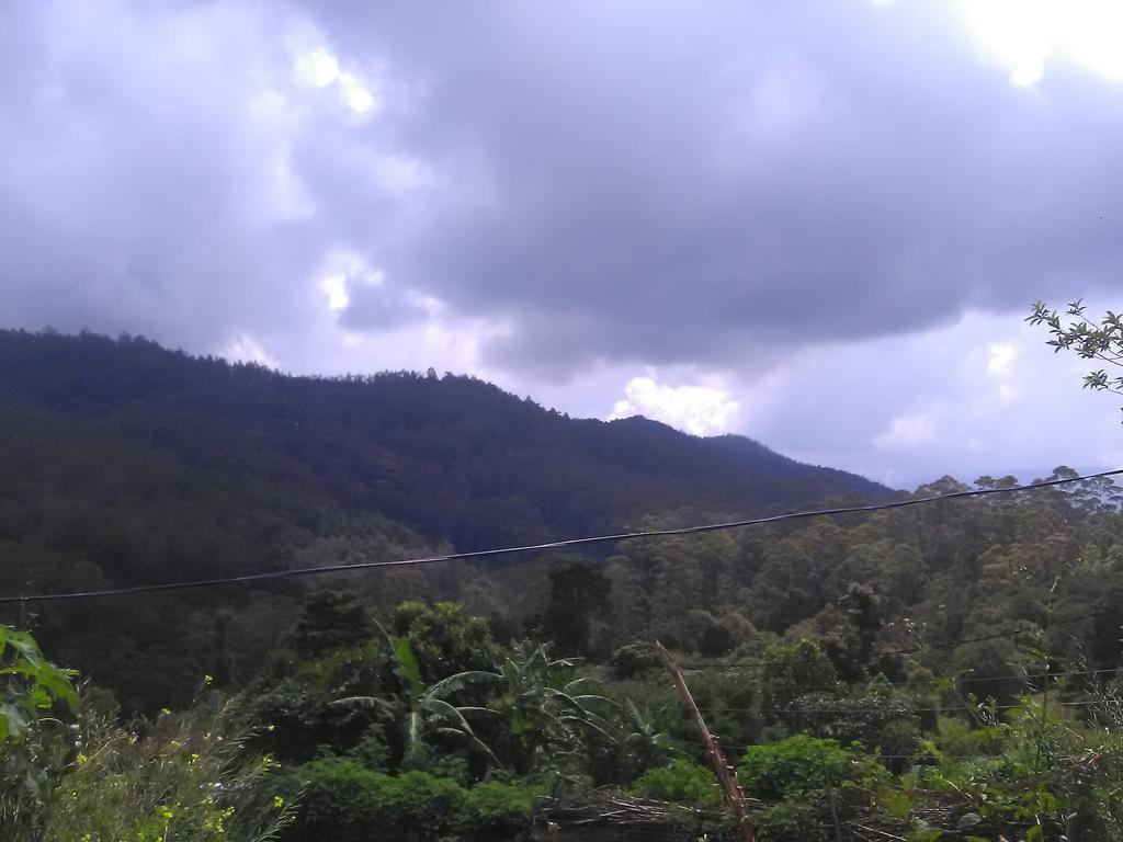 Forest Cyniciam Homestay 오히야 외부 사진