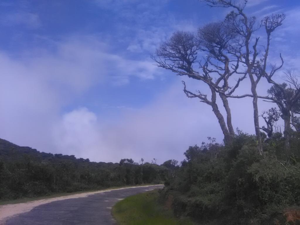 Forest Cyniciam Homestay 오히야 외부 사진