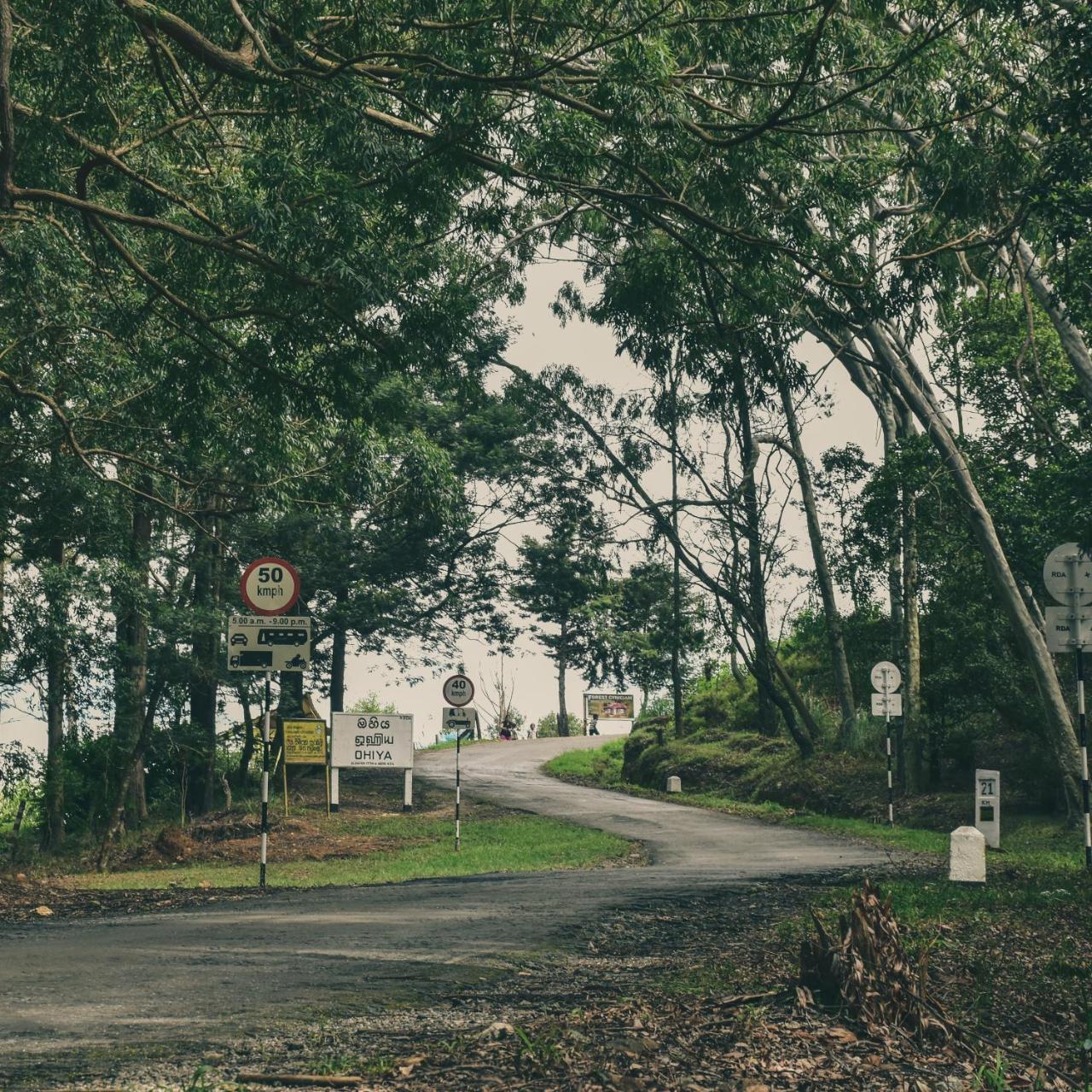 Forest Cyniciam Homestay 오히야 외부 사진