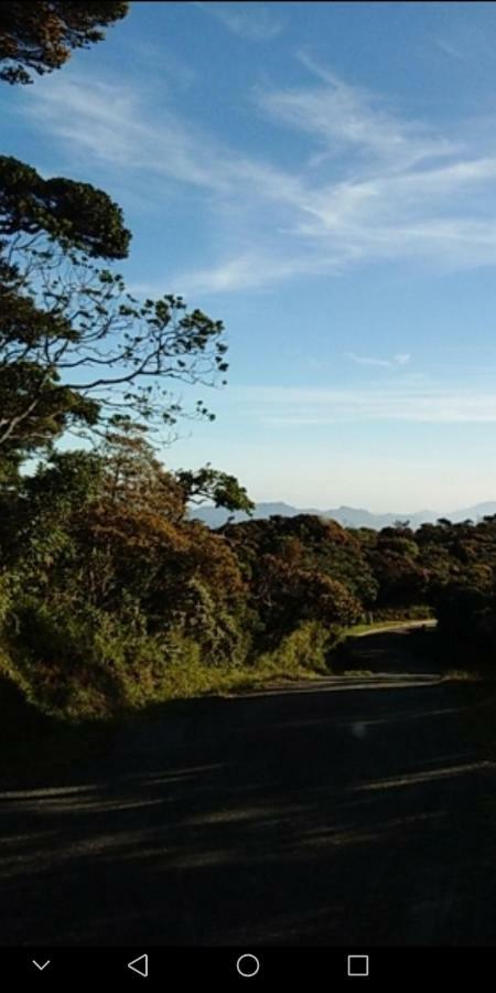 Forest Cyniciam Homestay 오히야 외부 사진