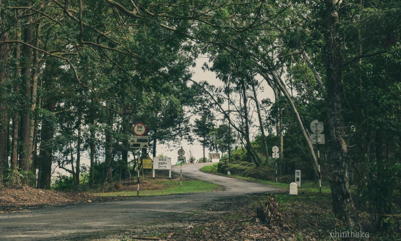 Forest Cyniciam Homestay 오히야 외부 사진